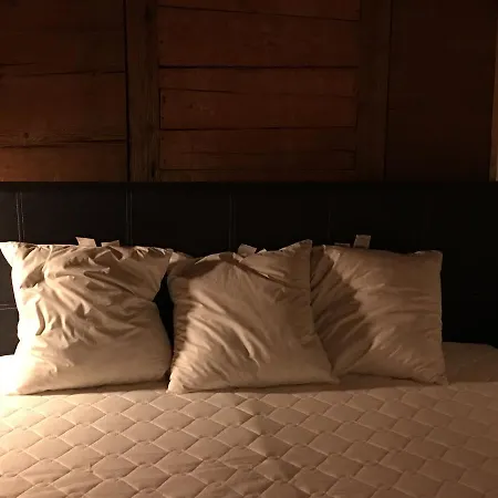 170 Year Old Swiss Vyntage Chalet, Interlaken