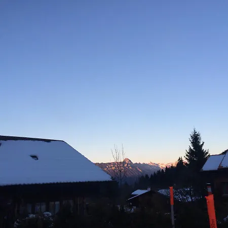 170 Year Old Swiss Vyntage Chalet, Interlaken Saxeten