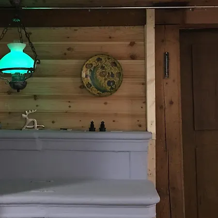 170 Year Old Swiss Vyntage Chalet, Interlaken 木屋 Saxeten