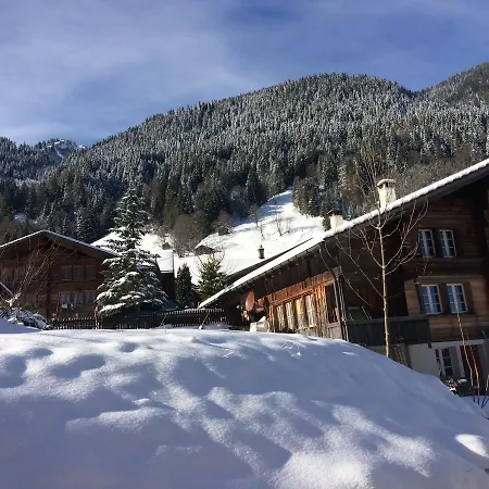 170 Year Old Swiss Vyntage Chalet, Interlaken Alpstuga *