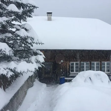 170 Year Old Swiss Vyntage Chalet, Interlaken 木屋